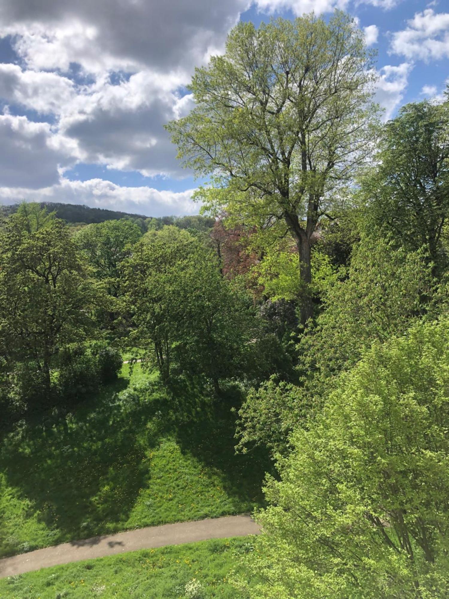 Zimmer Mit Parkblick Stuttgart Exterior foto